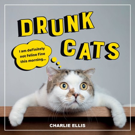 Drunk Cats