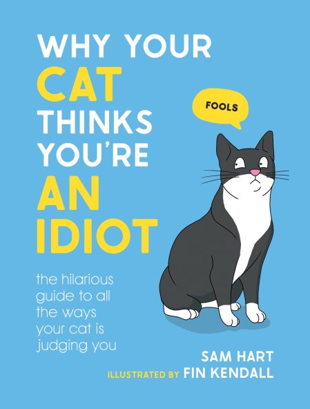 I'm an Idiot Card -  UK