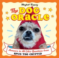 The Dog Oracle